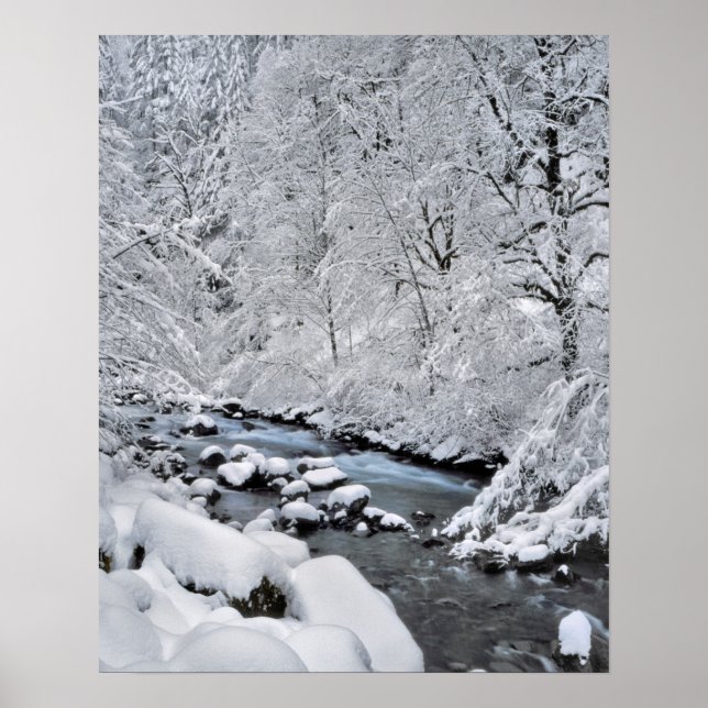 Snowy white creek scenic, Oregon Poster (Front)