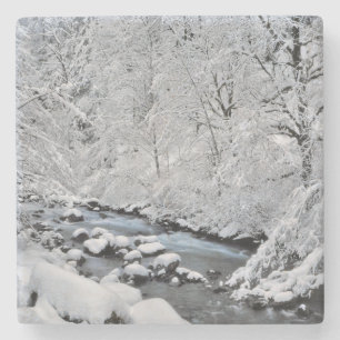 Snowy white creek scenic, Oregon Stone Coaster