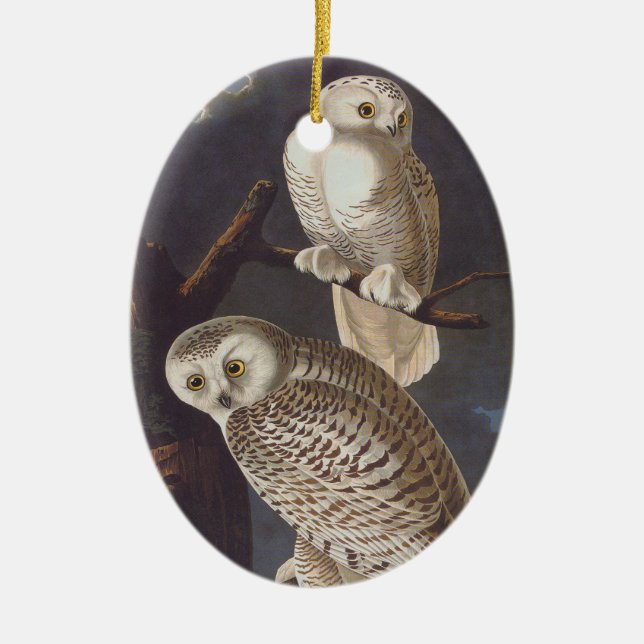 Snowy White Owl Oval Christmas Ornament (Front)
