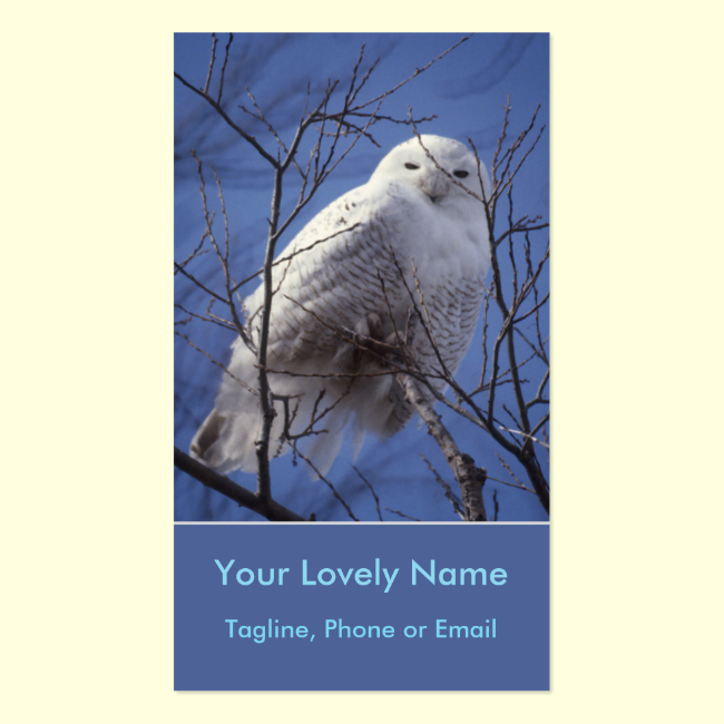 Snowy White Owl, White Arctic Bird, Sapphire Sky Double-Sided Standard Business Cards (Pack Of 100)
