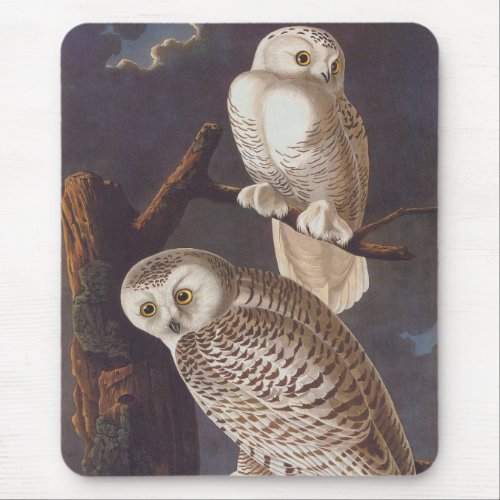 Snowy White Owls on a Dark Scary Night by Audubon Mouse Pad