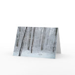 Snowy White Poplar Forest Card
