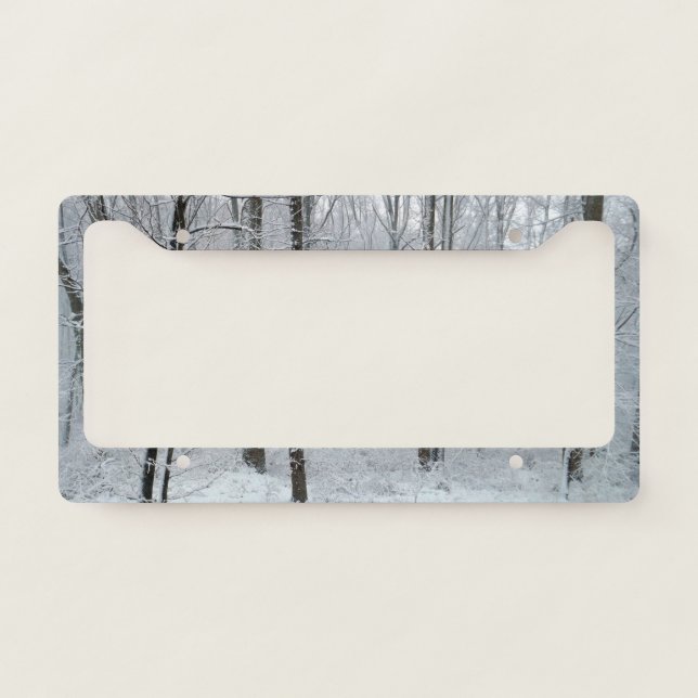 Snowy White Poplar Forest License Plate Frame (Front)