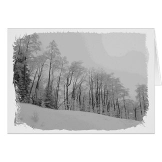 Snowy White Tips Cards