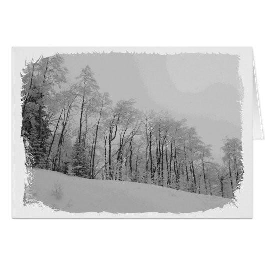 Snowy White Tips Cards (Front Horizontal)