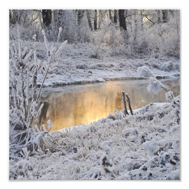 Snowy white winter landscape with light reflect photo print (Front)