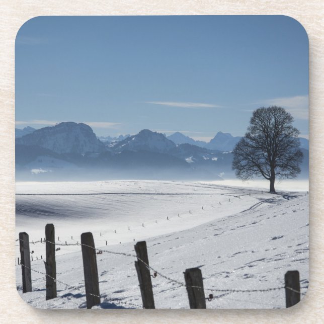 Snowy Winter Countryside Landscape Photo Beverage Coaster (Front)