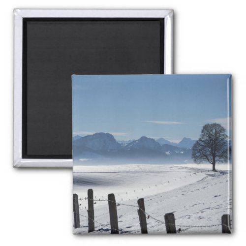 Snowy Winter Countryside Landscape Photo Magnet