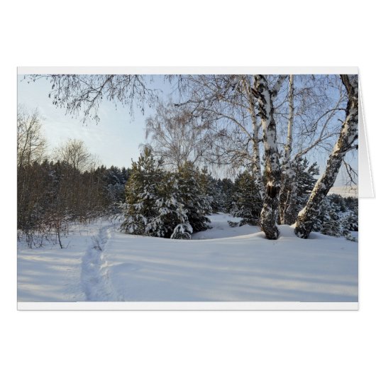 Snowy Winter Day Cards (Front Horizontal)
