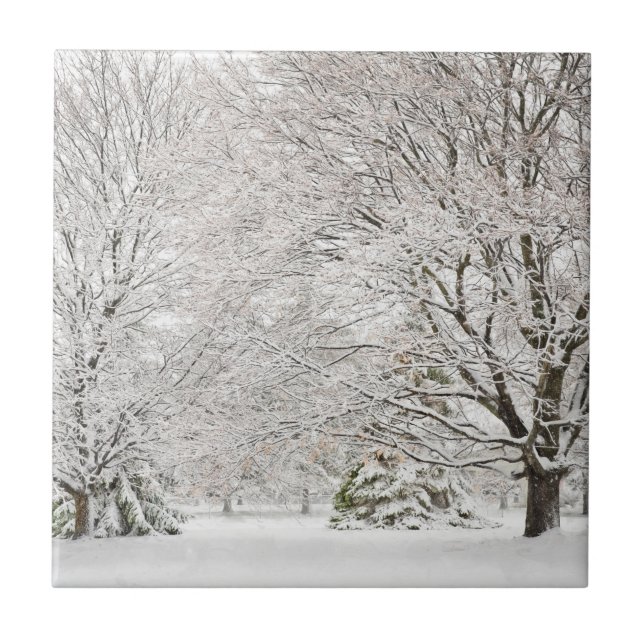 Snowy Winter Forest Ceramic Tile (Front)