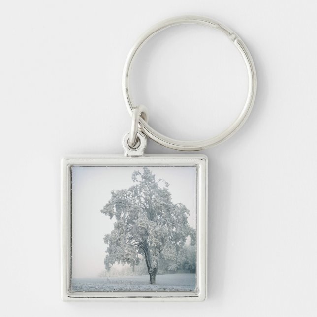 Snowy winter landscape keychain (Front)