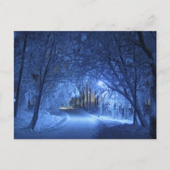 Snowy Winter Night Postcard by Virginia5050 at Zazzle