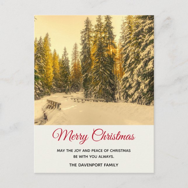 Snowy Winter Path with Pine Trees Christmas Postcard (Front)