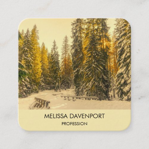 Snowy Winter Path with Pine Trees Photograph Square Business Card