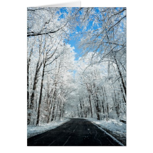 Snowy Winter Road Scene Cards (Front)