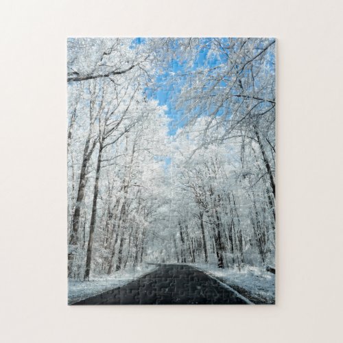 Snowy Winter Road Scene Jigsaw Puzzle