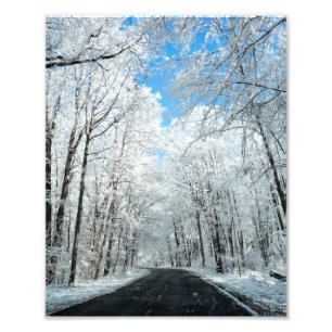 Snowy Winter Road Scene Photo Print