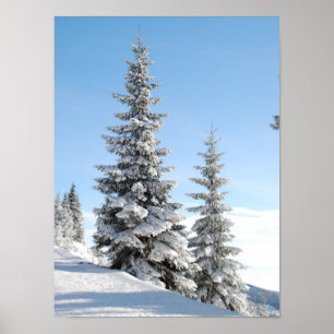 Snowy Winter Scene with Christmas Trees Poster