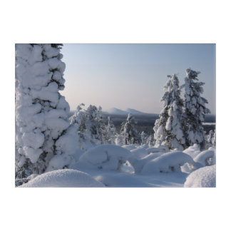 Snowy Winter Scenery with Fir Trees Acrylic Print
