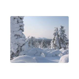 Snowy Winter Scenery with Fir Trees Metal Print