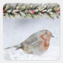 Snowy Winter Snow Robin Christmas