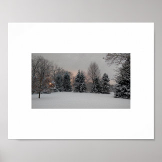 Snowy winter sunset with pine trees poster