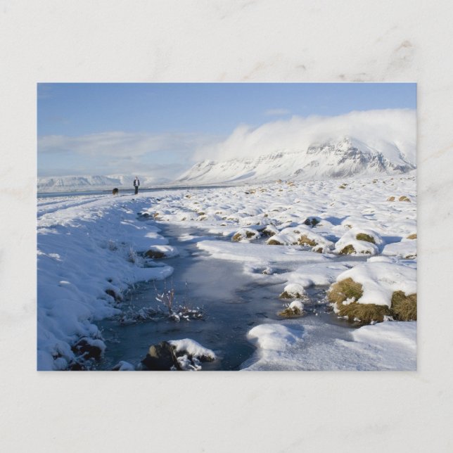 Snowy Winterland Postcard (Front)