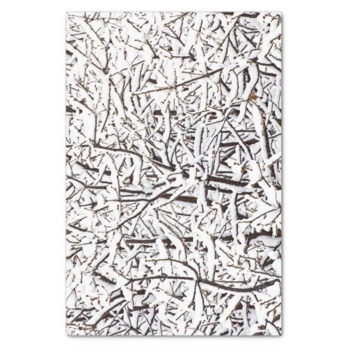 Snowy Wintry Trees Tissue Paper