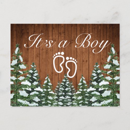 Snowy Wood  Forest Country Pine Its a Boy Announcement Postcard