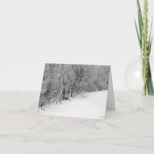 Snowy Woods Blank Note Card