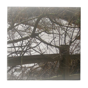 Snowy Woods Ceramic Tile