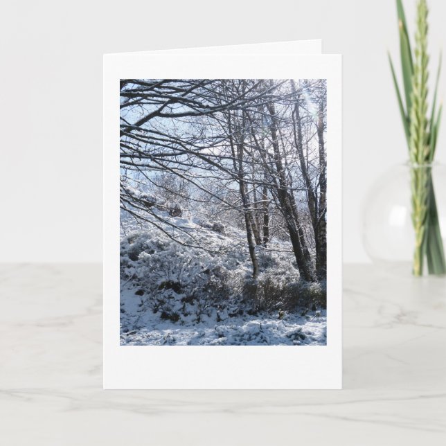 Snowy woods Christmas Card (Front)