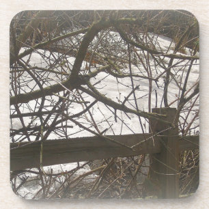 Snowy Woods Drink Coaster