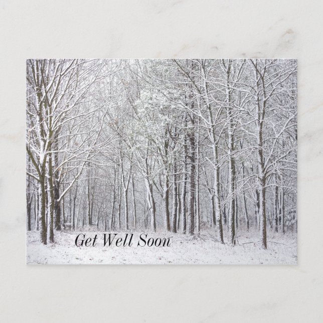 Snowy Woods Get Well Soon Postcard (Front)