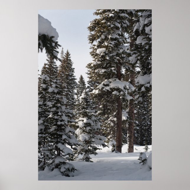 Snowy Woods Poster (Front)