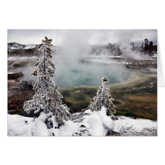 Snowy Yellowstone Cards (Front Horizontal)