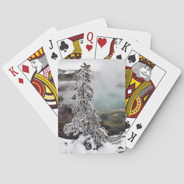 Snowy Yellowstone Poker Cards (Back)
