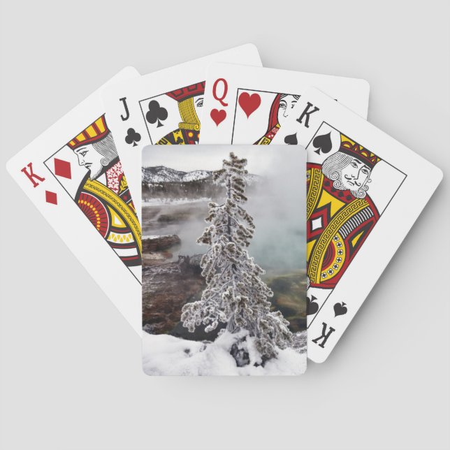 Snowy Yellowstone Poker Cards (Back)