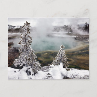 Snowy Yellowstone Postcard