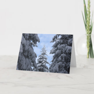 SnowyPines Letterpress Thank You Card