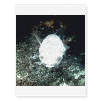 snrkeling blowfish (I) Temporary Tattoos