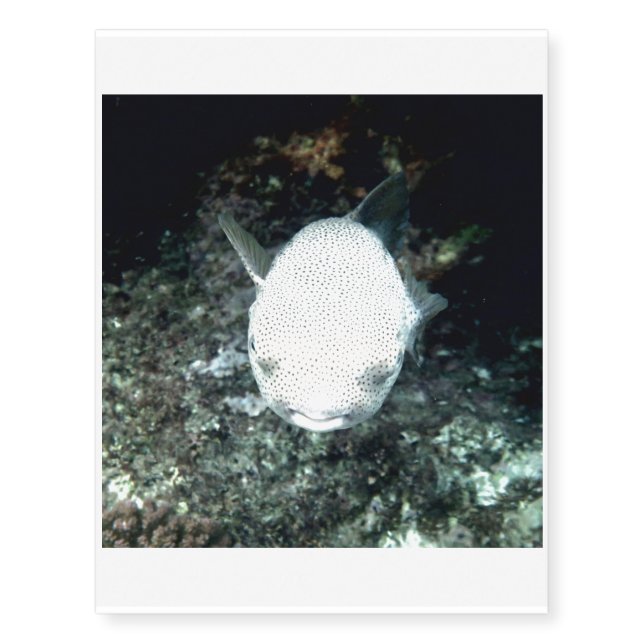 snrkeling blowfish (I) Temporary Tattoos (Front)