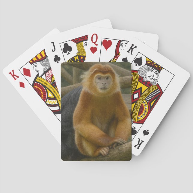 Snub-Nosed Monkey in Woodland Refuge Poker Cards (Back)