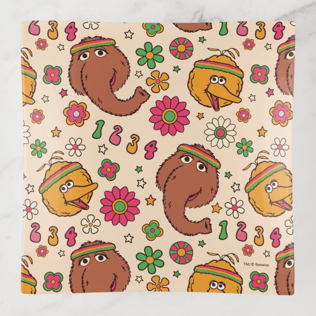 Snuffleupagus and Big Bird Groovy Flower Pattern Trinket Tray (Front)