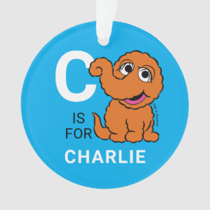 Snuffleupagus   Personalized Name with Photo Ornament