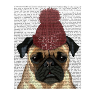 Snug Pug Acrylic Print