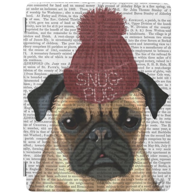 Snug Pug iPad Air Cover (Front)