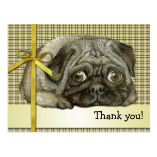 Pug Thank You Cards | Zazzle