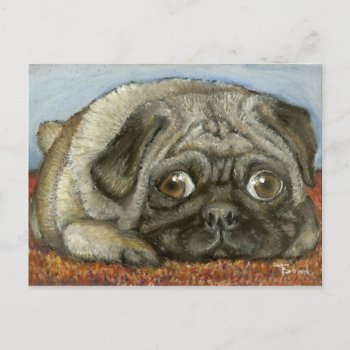 Snug Pug Postcard by tanyabond at Zazzle