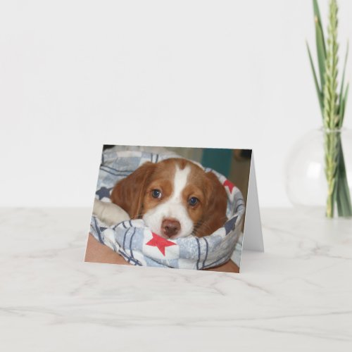 Snuggle Brittany Puppy Notecard